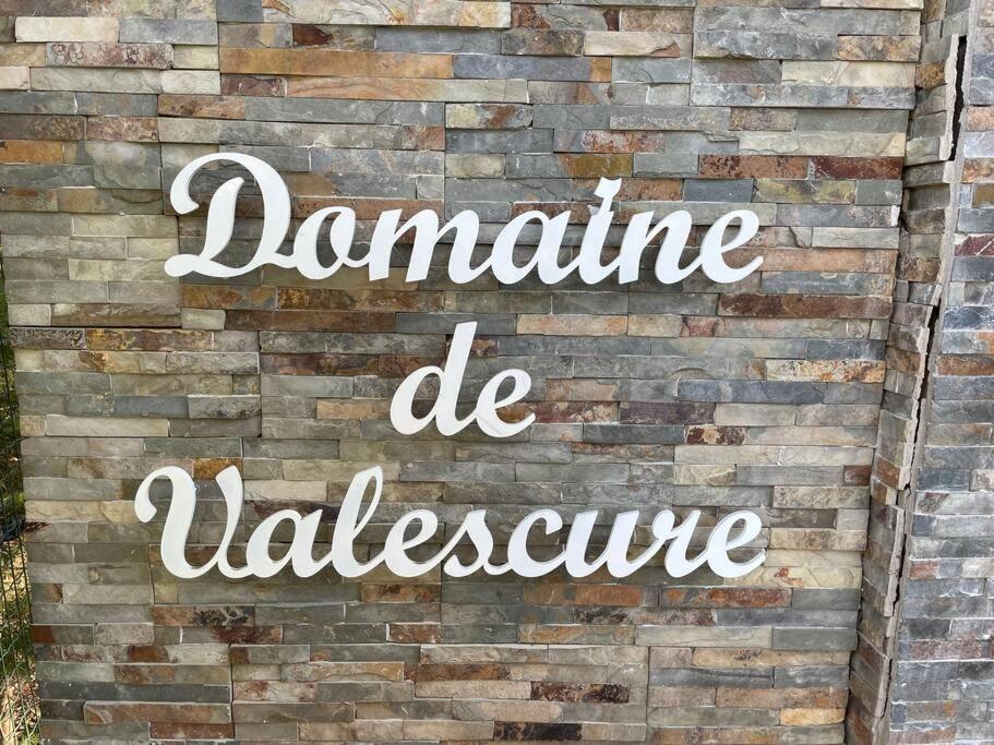 Bel Appartement Vue Sur Piscine 1 Chambre Fermee Et 1 Espace Cabine Saint-Raphaël Eksteriør billede