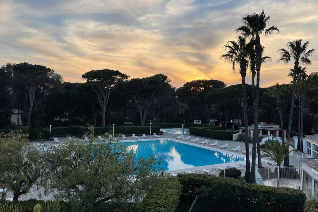 Bel Appartement Vue Sur Piscine 1 Chambre Fermee Et 1 Espace Cabine Saint-Raphaël Eksteriør billede