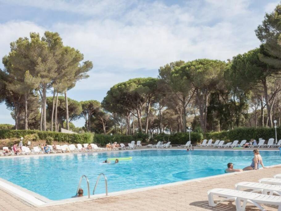 Bel Appartement Vue Sur Piscine 1 Chambre Fermee Et 1 Espace Cabine Saint-Raphaël Eksteriør billede