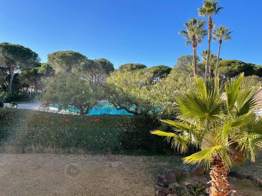 Bel Appartement Vue Sur Piscine 1 Chambre Fermee Et 1 Espace Cabine Saint-Raphaël Eksteriør billede
