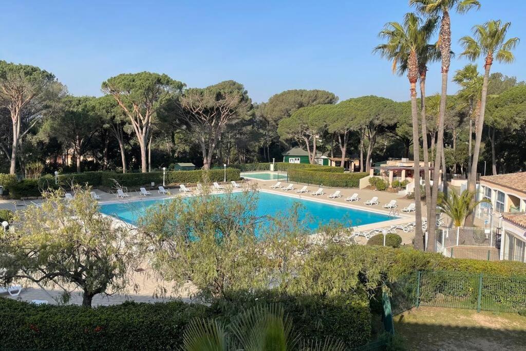 Bel Appartement Vue Sur Piscine 1 Chambre Fermee Et 1 Espace Cabine Saint-Raphaël Eksteriør billede